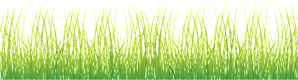 Hierba De Primavera Patron - Grass (1024x1024), Png Download