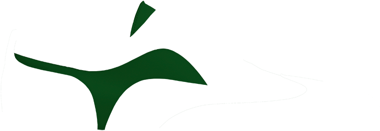 Charol-verde Hierba (860x400), Png Download