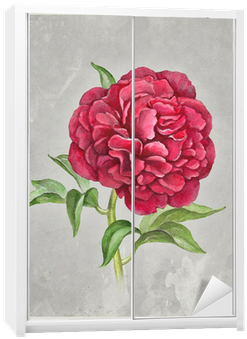Watercolor Peony Flower - Watercolor Painting (400x400), Png Download