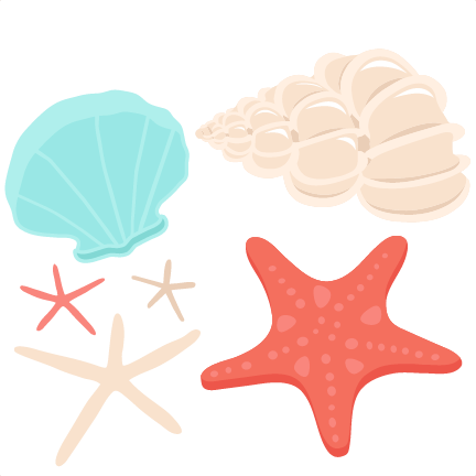 Best Pictures Of Conch Shells Transparent Background - Seashells Clipart Png (432x432), Png Download