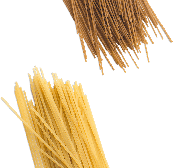 Pasta-sample - Pasta Png (800x691), Png Download