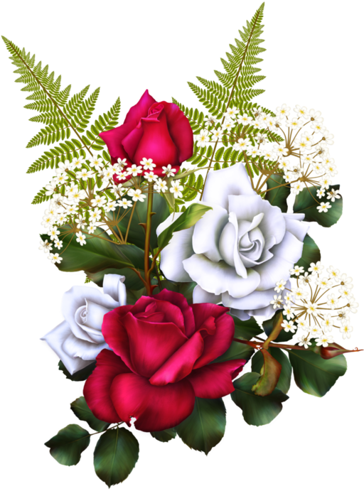 Pin By Lucia Santiagoquero Salvar O Meu Pinlúcia Santiago - Stock Illustration (529x699), Png Download