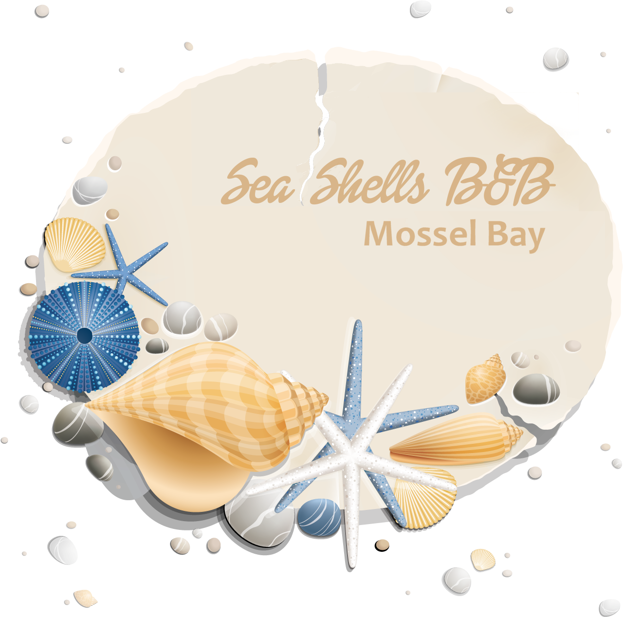 Sea Shells B&b - Barrier Cream (1500x1501), Png Download