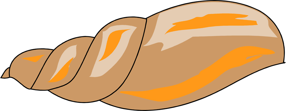 Shell Clipart Transparent Background (958x373), Png Download