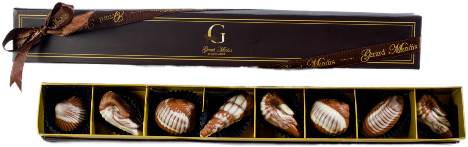 Seashells 8 Piece Chic Paperboard Box - Shell (1024x403), Png Download