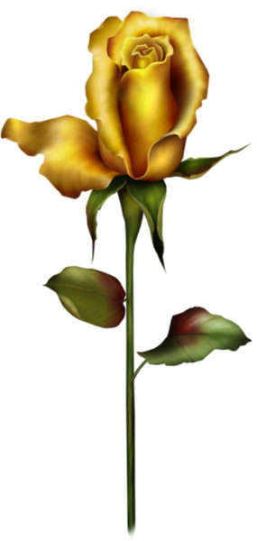 Yellow Rose Bud Png Clipart - Golden Rose Bud Png (285x600), Png Download