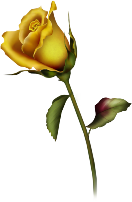 Yellow Rose Bud Clip Art - Rose Bud Tattoo Design (390x600), Png Download