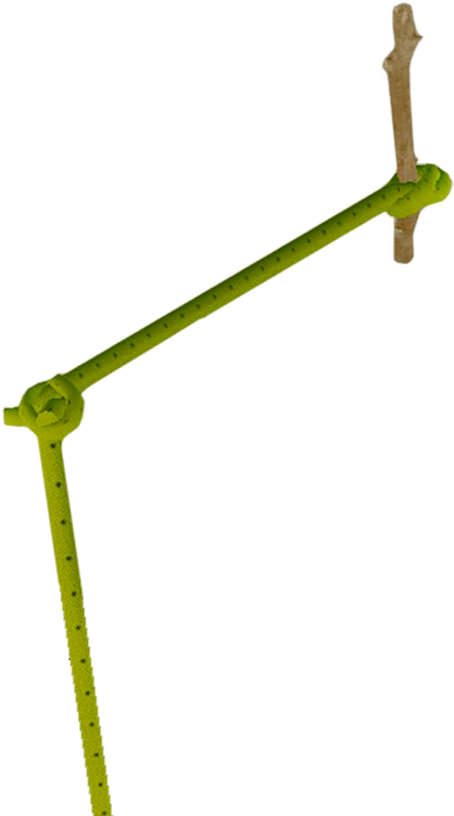 Portable Network Graphics (750x750), Png Download