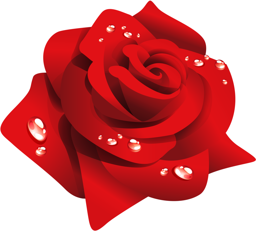 Rosas Vermelhas Vetor Png (1000x901), Png Download