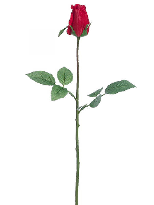 5" Rose Bud Spray Red - Floribunda (800x800), Png Download