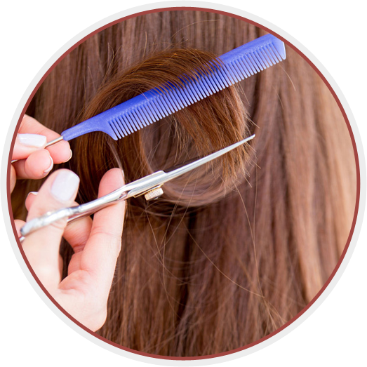 Circle - Lorenzo Pasquale Hair Design (523x523), Png Download