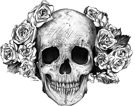 Transparent Skull - Rose Skull (500x415), Png Download