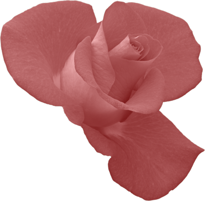 Rosebud - Indabo Z Urukundo (400x392), Png Download