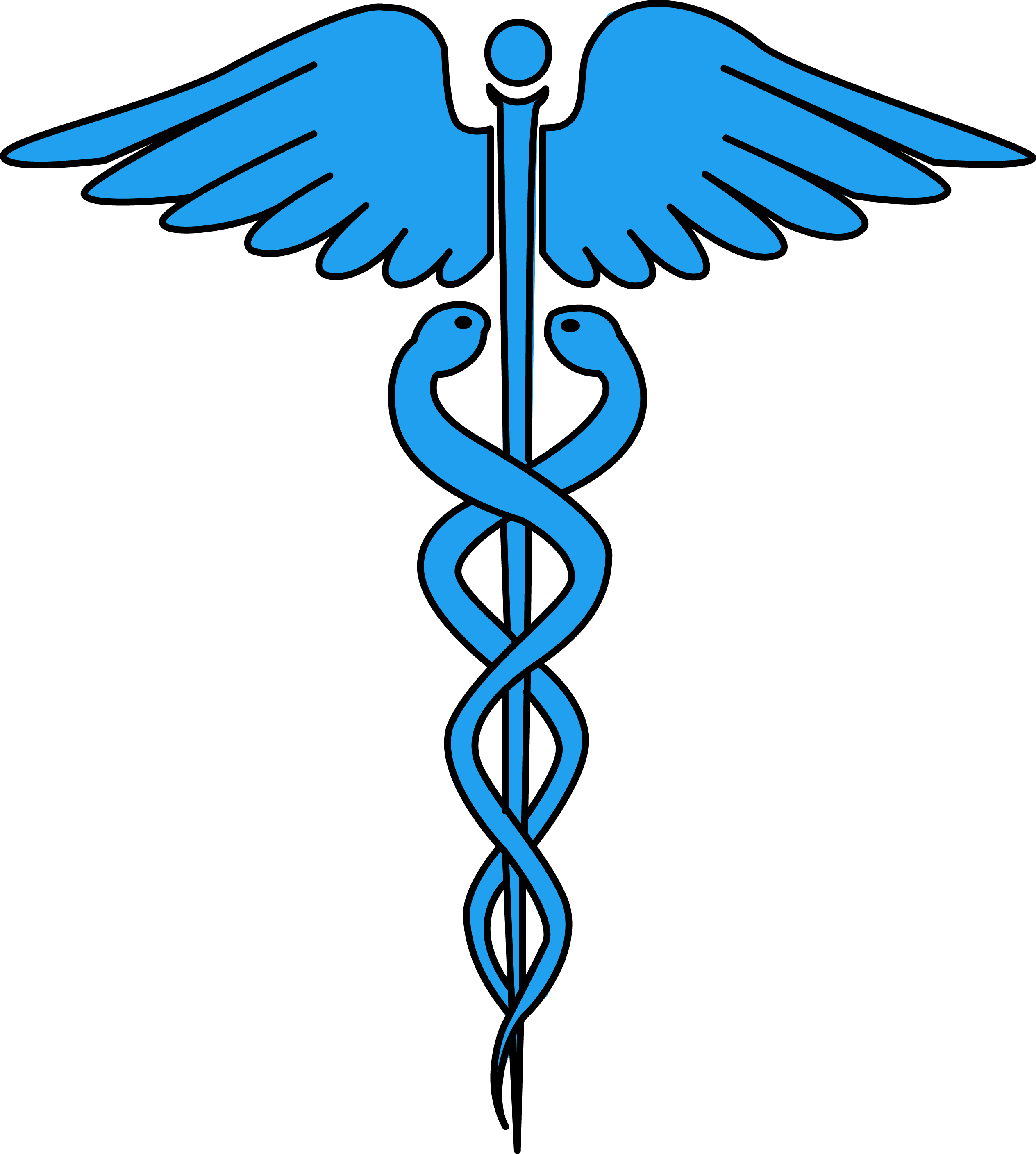 Image For Free Caduceus Medical Symbol Health High - Medical Symbol High Resolution (2528x2815), Png Download