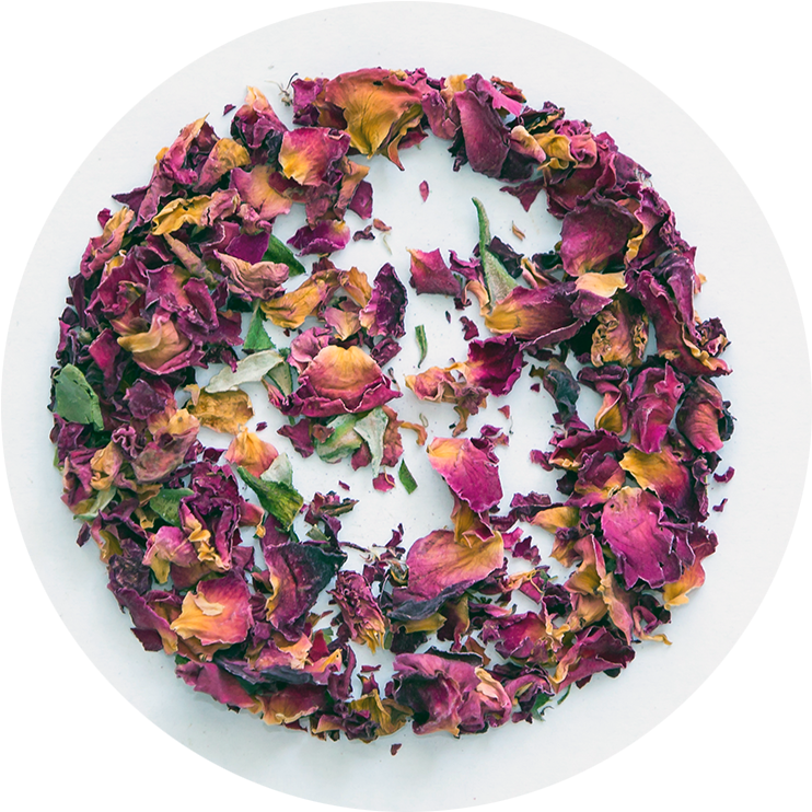 Rose Buds And Petals - Buds And Petals (800x800), Png Download