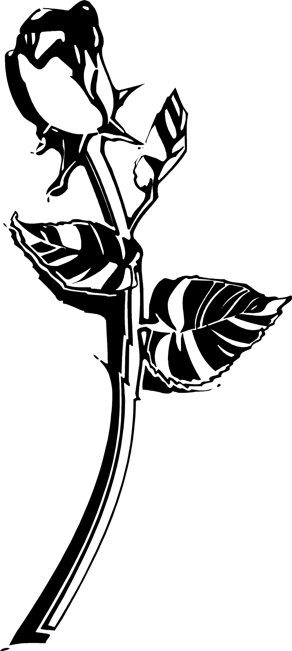 Long Stem Flower Graphic Transparent Download - Clipart Black Rose Png (958x2132), Png Download