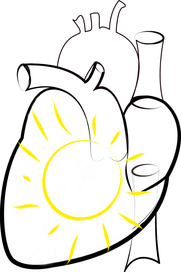 Vector, Photomontage, Illustration, Sketch, Heart, - Dibujo De Salud (599x900), Png Download