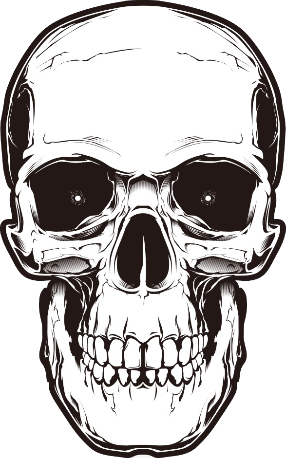 Skull Png (587x941), Png Download