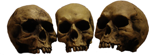 Png Skulls Banner Stock - Skulls In A Row (600x238), Png Download