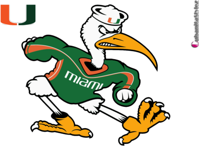 University Of Miami Hurricanes - Miami Hurricanes Bird Logo (400x302), Png Download