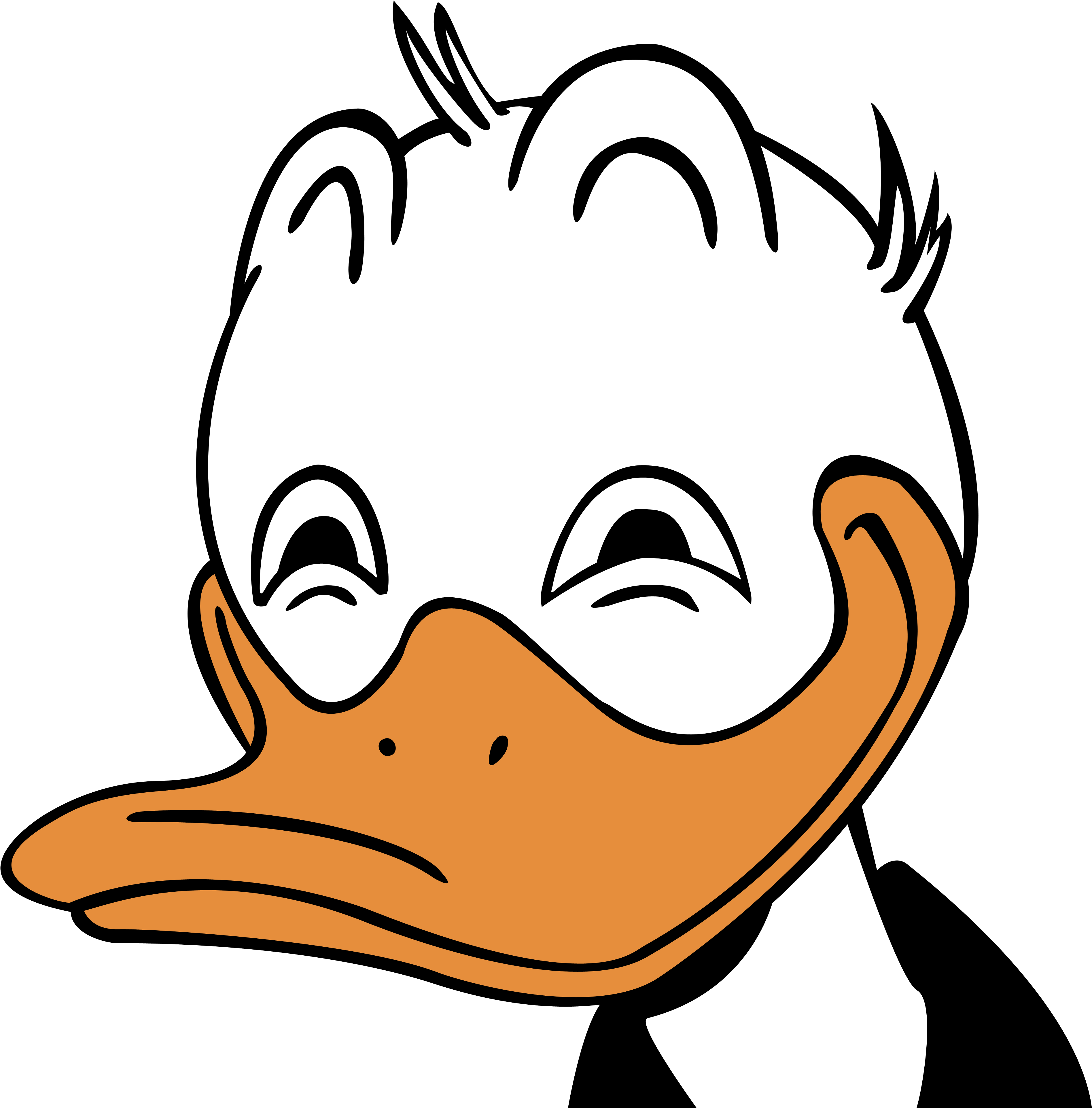 Funny Duck Face Cartoon