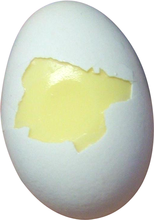 Png Firedegg (645x829), Png Download