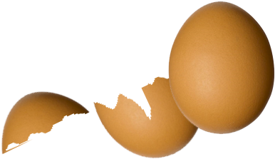 Broken Egg Png - Egg (454x278), Png Download