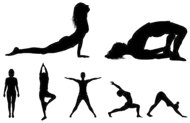 Woman Yoga Png - Man Woman Vector Png (1280x670), Png Download