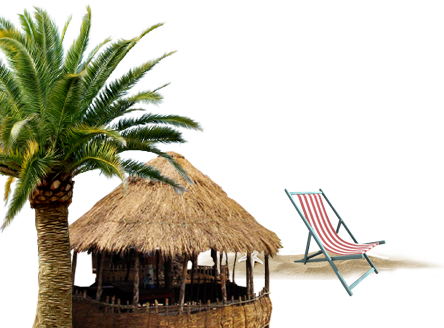 The Tropical Bay Bar Will Serve Exotic Cocktails And - Date Palm Tree Png (444x328), Png Download