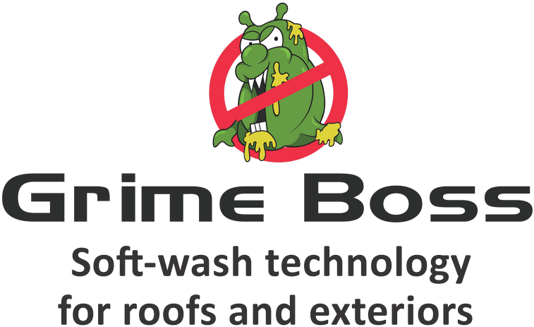 The Grime Boss - Pec University Of Technology (848x600), Png Download
