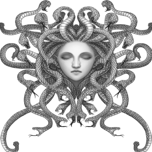 Medusa Head Png - Medusa (500x500), Png Download