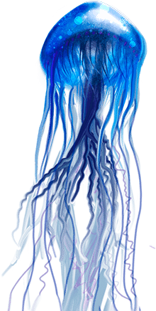 Medusa De Mar Png - Jellyfish (360x480), Png Download