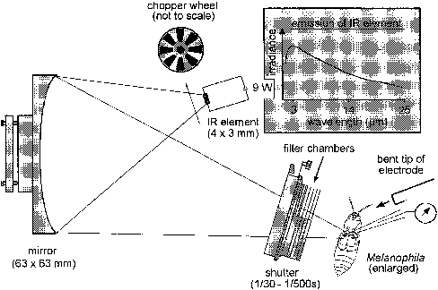 The Camera Shutter Was Mounted To A Support Which Was - Diagram (488x324), Png Download