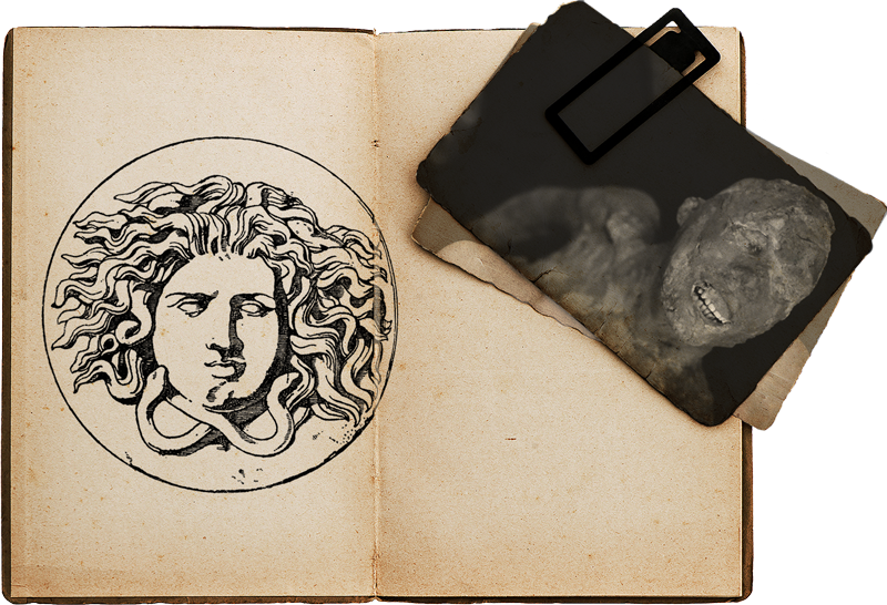 Expedition Medusa - Medusa (800x546), Png Download