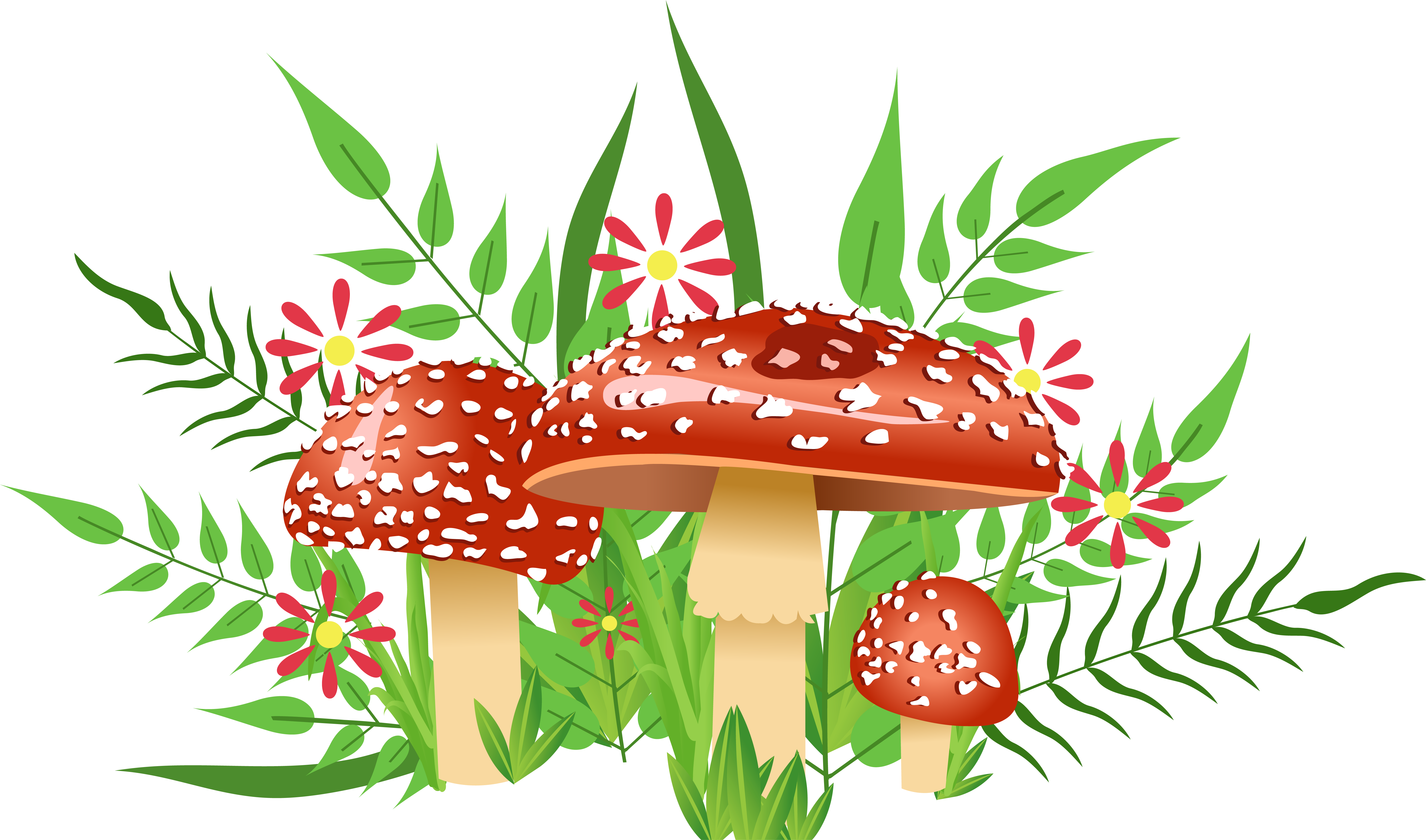 Kids (6293x3705), Png Download