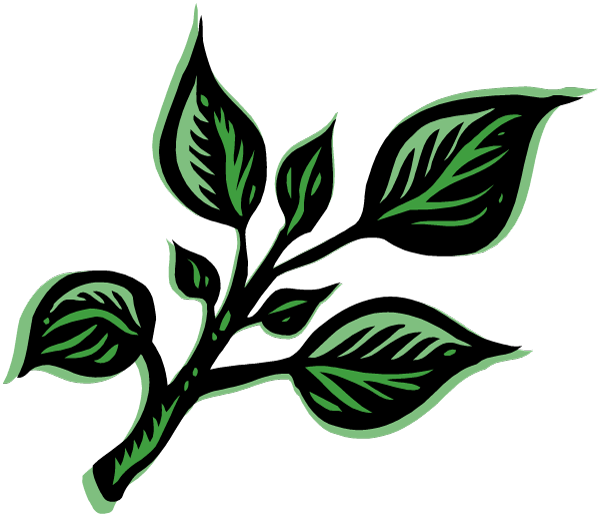Hierbas Png - Herb Definition (600x516), Png Download