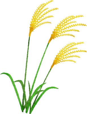 Hierba De Pampa Japonesa - Chinese Silver Grass (307x400), Png Download