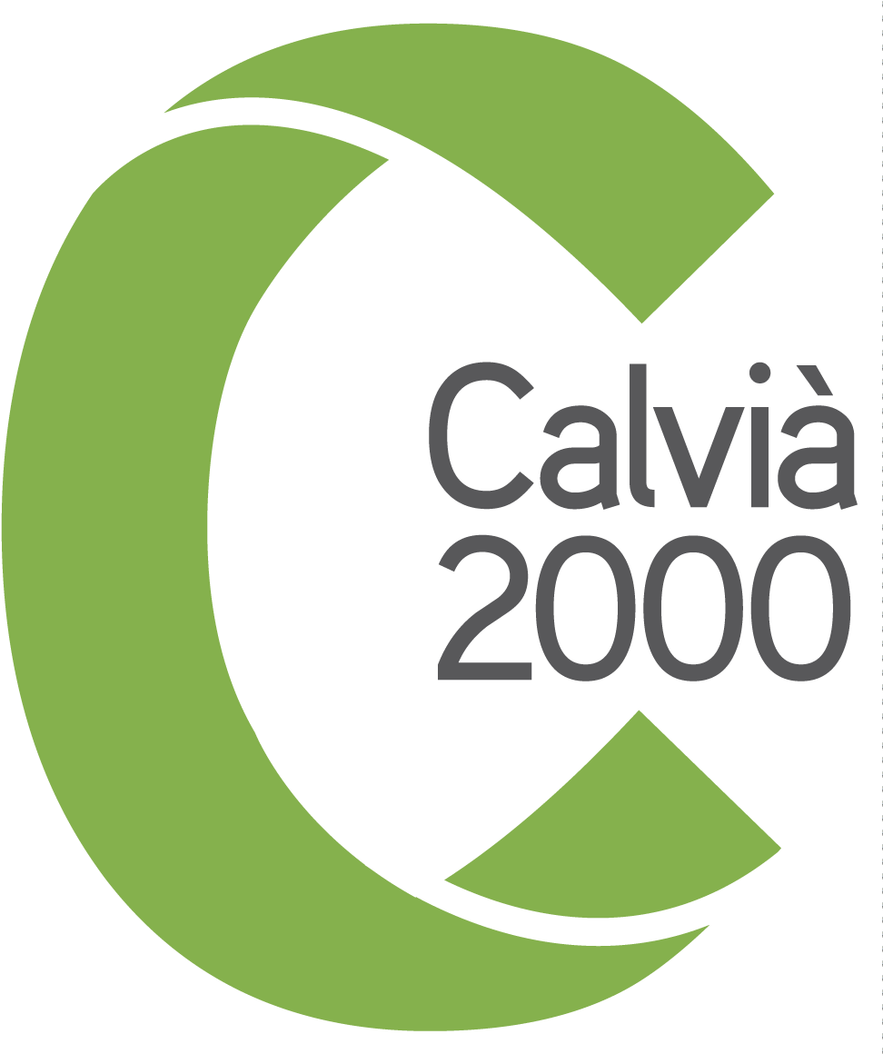 Logo Calvia2000 Positivo Color - Corporate Image (1000x1163), Png Download