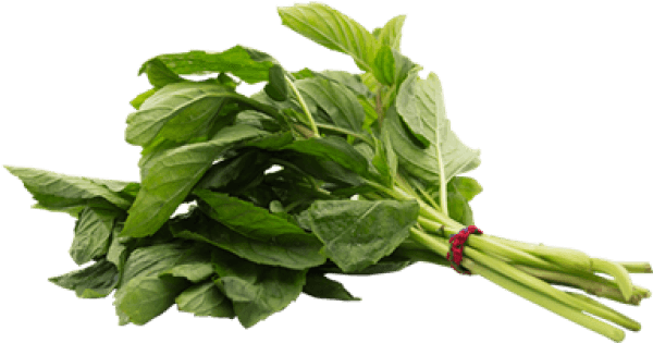 Herb (600x600), Png Download