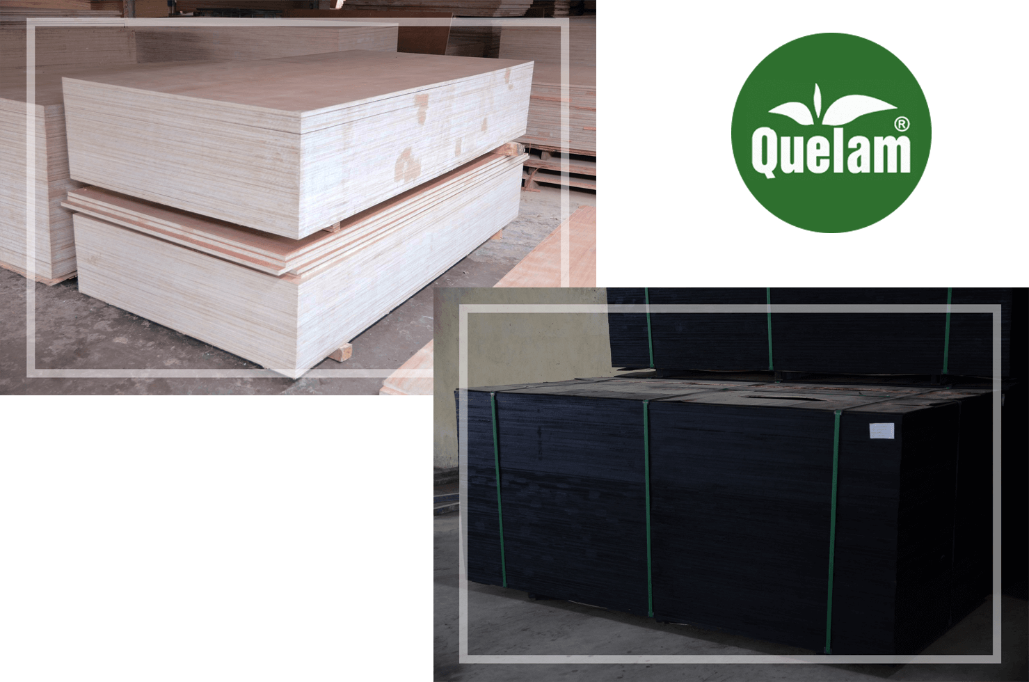 Plywood First Pic - Plywood (1479x980), Png Download