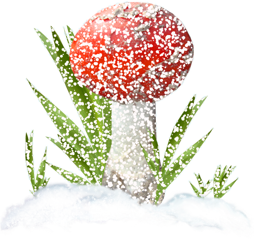 Red Mushrooms - Mushroom (514x600), Png Download