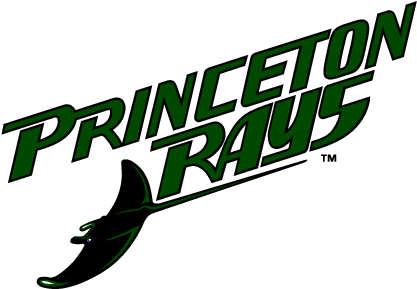 Premium Vectors - Princeton Rays (436x302), Png Download