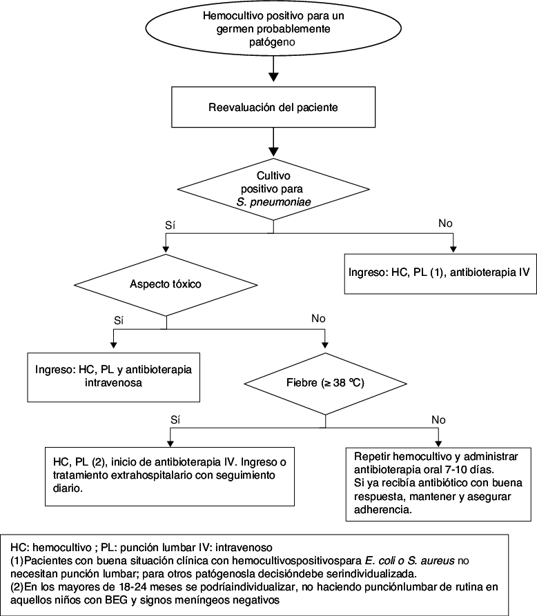 Actitud Ante Un Hemocultivo Positivo En El Paciente - Patient (778x893), Png Download