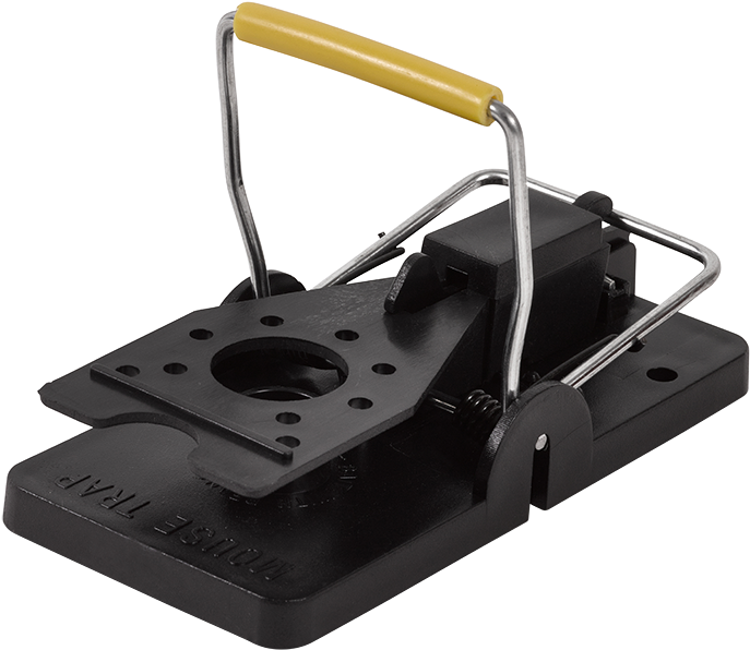 Wild Cats For Mice - Hole Punch (1000x833), Png Download