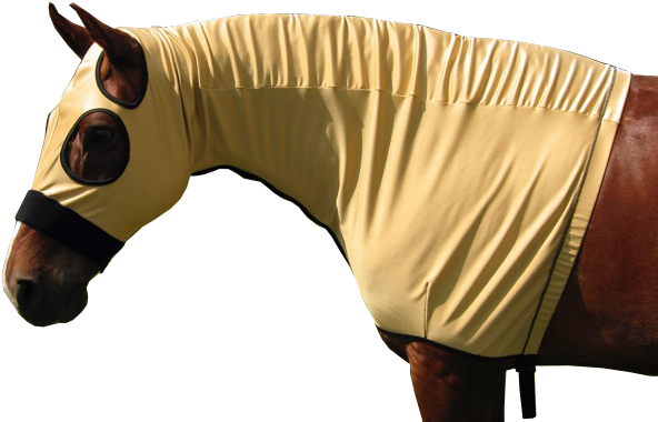 Slinky Hood - Stallion (640x463), Png Download