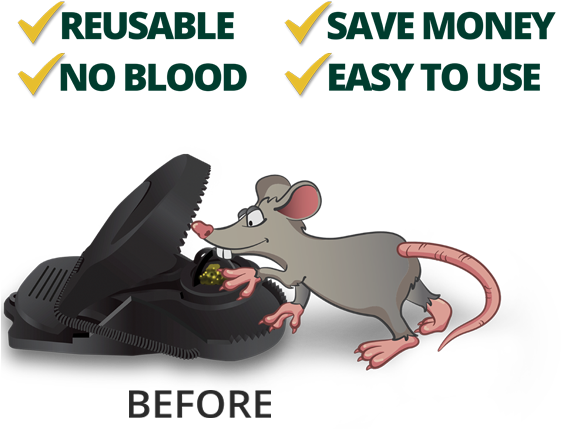 Minimice Mouse Trap - Rat (560x460), Png Download