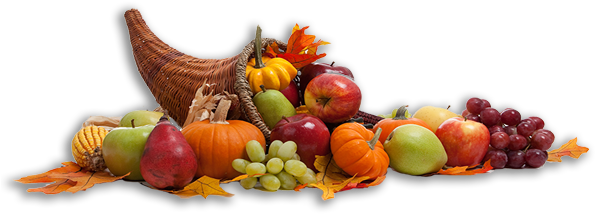 Cornucopia2 - Thanks Giving Horn (600x223), Png Download