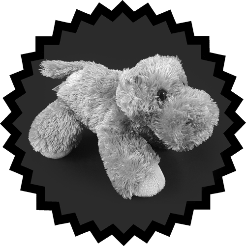 Our $100 Adopt An Animal Holiday Package Is Terrific - Vector Graphics (500x501), Png Download