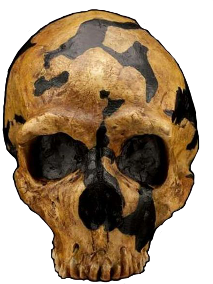 The Ten Neanderthals At The Site Were Found Within - Shanidar 1 (451x599), Png Download