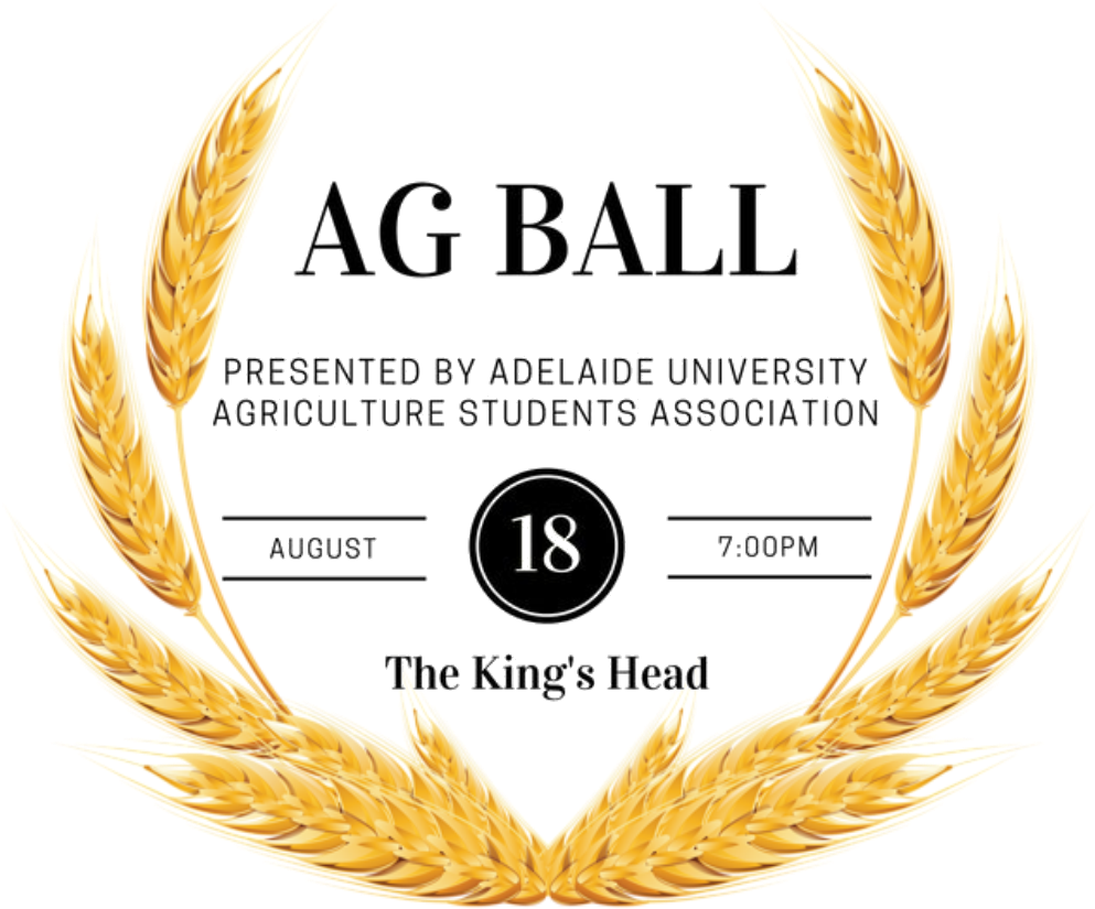 Ag Ball - Wheat Clipart Transparent Background (1026x863), Png Download